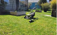 Lawn Mowing by Positive One Connections Co
