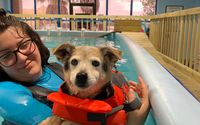 Hydrotherapist in  Pool by K9 Health Center