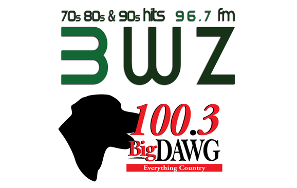 3WZ-FM and Big Dawg 100.3 by WREL-AM/WWZW-FM