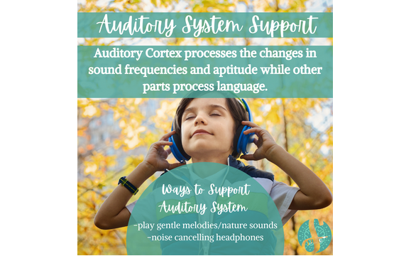 Sensory Systems Management Mini-Course by Laura Lee Smith Consulting