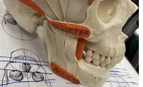 Online Appointment Booking by Byler Bodywork LLC