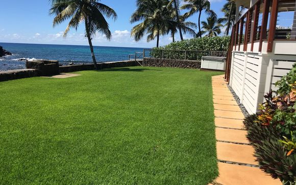 Landscaping, Irrigation & Plant Rental Services  by Dorr To Paradise Inc