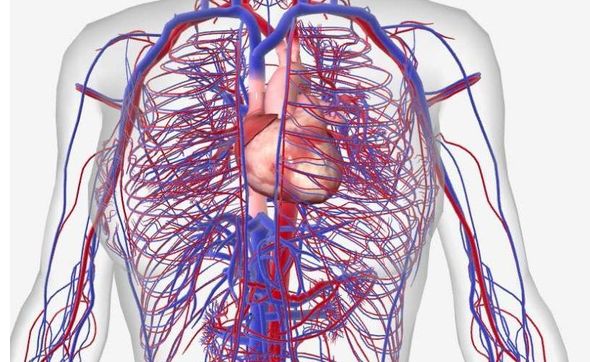 PEMF Vasodilation (PV) Treatment by Center for Natural Healing