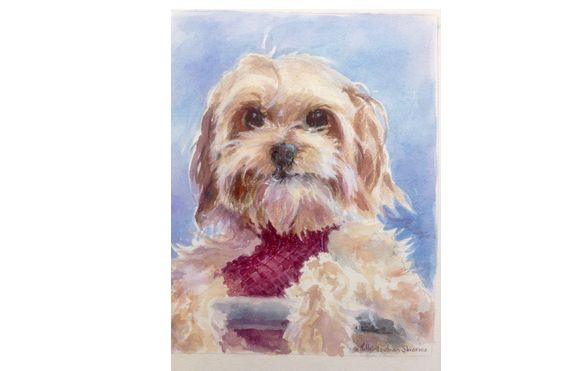 Painting Pet Portraits Zoom Demo by www.alexandrasharmaart.com