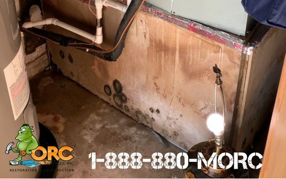 Water and Mold Free Visual Inspection by ORC Services, Inc.