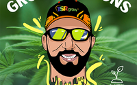 Yes on Delivery, Yes on Results by TSRgrow