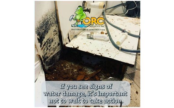 Water Damage Cleanup and Mold Remediation  by ORC Services, Inc.