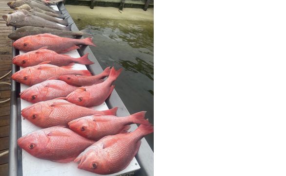 Fishing by Boat Owners Assist & Training