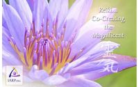REIKI SESSION or TRAINING by Hands of Light by Rosemary