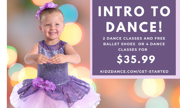 Classes for age 2.5 to adult.  Coming soon!   Adult Hip Hop! by KIDZDANCE, Inc.