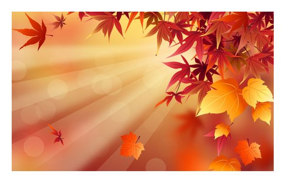 Insurance by Victoria Boyett