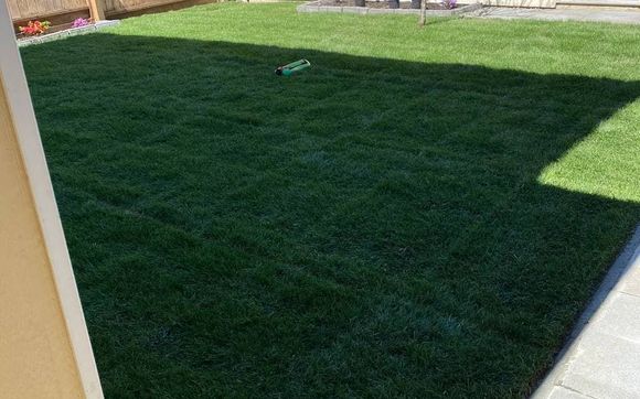 Sod Instalation by West North Landscaping