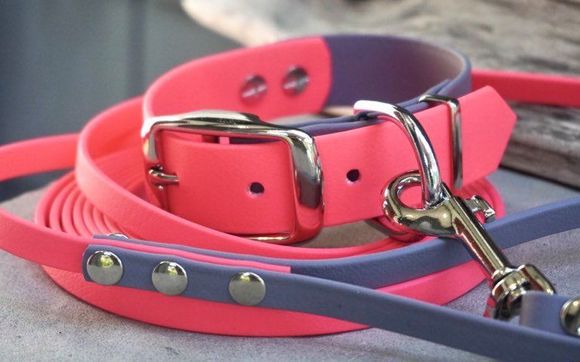 Waterproof Biothane Collar & Leash by Nose and Hearts Scentwork
