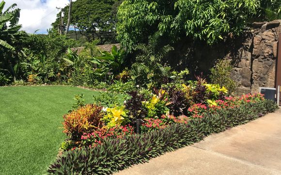 Landscaping, Irrigation & Plant Rentals by Dorr To Paradise Inc