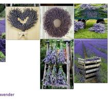 Delivery by Jeanne Lynn's Lavender