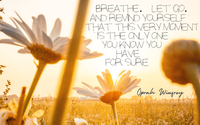 Anxiety Disorders by Metro Denver Family Therapy