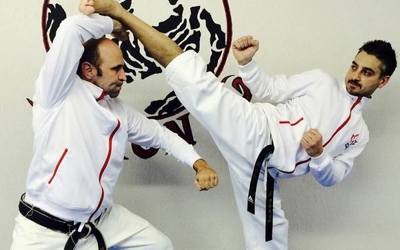 Private Classes by SKIF Karate For You Mississauga