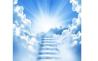 Obituaries  by Written Essentials, LLC