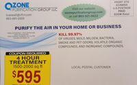 Mold Remediation by Ozone Purification Group, LLC