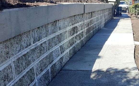 Pressure washer  by Iz pressure washer Llc 