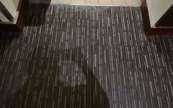 Commercial  Carpet Cleaning by The Spot Specialist