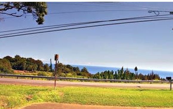 Outdoor Dining by The CARDINAL Herbs, teas and Spices