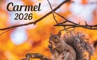 Print and Digital Marketing in Carmel! by Indy North Town Planner