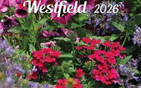 Print and Digital Marketing in Westfield! by Indy North Town Planner