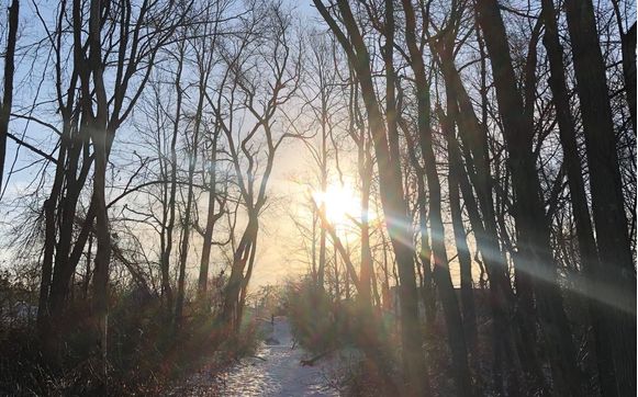 Life Coaching to guide through life transitions by Kathleen Linta Coaching
