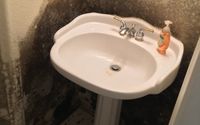 Mold Remediation & Removal by Independent Restoration Services Memphis