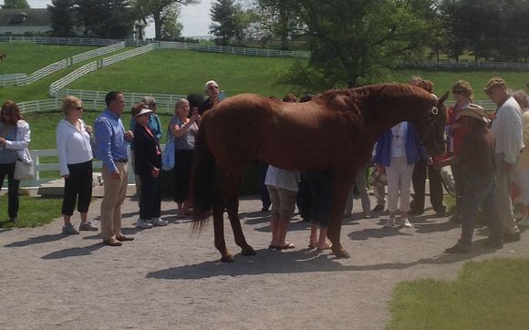 Guided Vacations by AdVance Tour & Travel