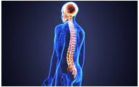 Chiropractic Care "SEE DR. ZO IN SAN PEDRO!" by DOCTOR ZO, DC