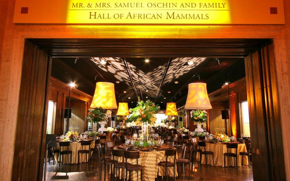 Event Management by Timeless Celebrations