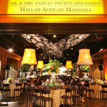 Event Management by Timeless Celebrations