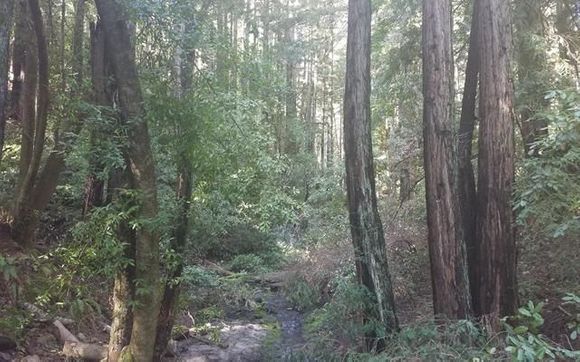 Land Real Estate by Valerie Mishkin