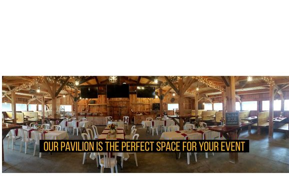 Function Space by Lobster in The Rough