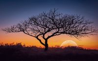 Fine Art Prints in a variety of sizes and media types  by Johnscalaphotography.com