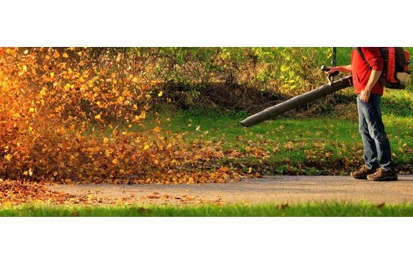 Fall Cleanup by SpringScapes Lawn Care