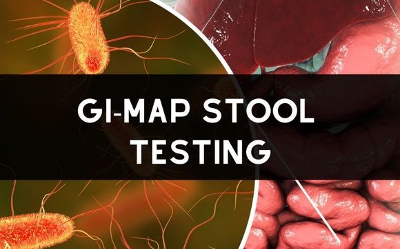 gi-map-dna-stool-test-by-miss-alexa-nutrition-in-chicago-il-alignable