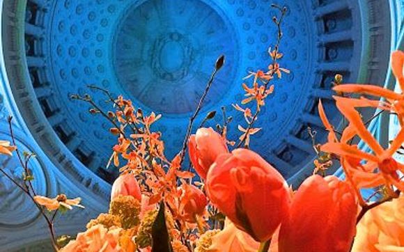 Floral Consulting by Allegra Entertainment & Events