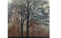 Lawn Care by The Hindal Way, LLC