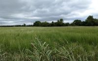 Land Real Estate by Solid Rock Realtors