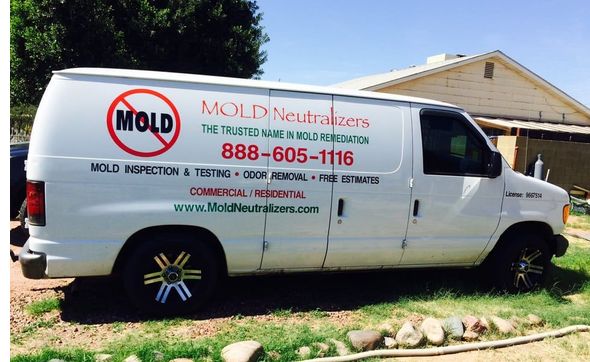 MOLD INFESTATION EXPERTS by Mold Neutralizers