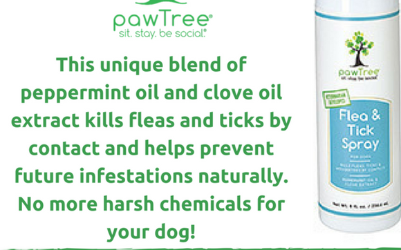 Flea & Tick Spray by The Pet Wellness Coach