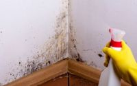 MOLD by BIO-ONE OF POWAY