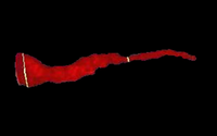 Visualize:Vascular by Salient Imaging Inc.