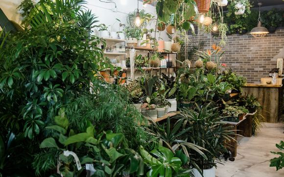 Indoor Tropical plants, planters and Moss walls by JUSTPLANTS in ...