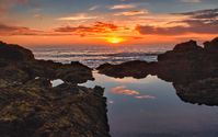 Nature photographs for a healing environment by Lewinsky Photography