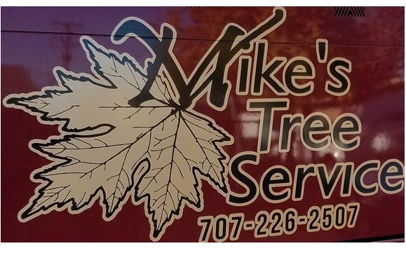 Regular and Preventative Maintenance Contracts by Mikes Tree Serrvice ...