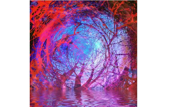 Photography by Candy Kuehn Studio